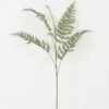 Artificial Plant 44*80cm single Fern leaves spray*5 GS-39022007 Leaves&Sprays&Foliages YeahFlower is one of Chinese leading OEM manufacturers and exporters , supplying the silk flowers, wholesale artificial trees