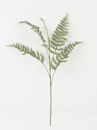 Artificial Plant 35*73cm single Pteris leaves spray*5 GS-39022008 Leaves&Sprays&Foliages 3,000+ sqm showroom with thousands of artificial flowers, plants & trees ready for global sourcing.