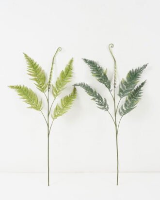 Artificial Plant 35*73cm single Pteris leaves spray*5 GS-39022008 Leaves&Sprays&Foliages YeahFlower is one of Chinese leading OEM manufacturers and exporters , supplying the silk flowers, wholesale artificial trees