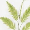 Artificial Plant 35*73cm single Pteris leaves spray*5 GS-39022008 Leaves&Sprays&Foliages YeahFlower is one of Chinese leading OEM manufacturers and exporters , supplying the silk flowers, wholesale artificial trees