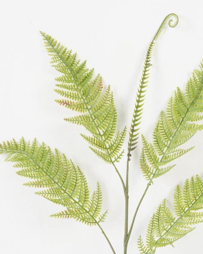 Artificial Plant 35*73cm single Pteris leaves spray*5 GS-39022008 Leaves&Sprays&Foliages YeahFlower is one of Chinese leading OEM manufacturers and exporters , supplying the silk flowers, wholesale artificial trees