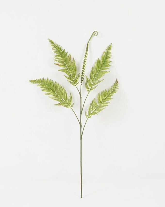 Artificial Plant 35*73cm single Pteris leaves spray*5 GS-39022008 Leaves&Sprays&Foliages YeahFlower is one of Chinese leading OEM manufacturers and exporters , supplying the silk flowers, wholesale artificial trees