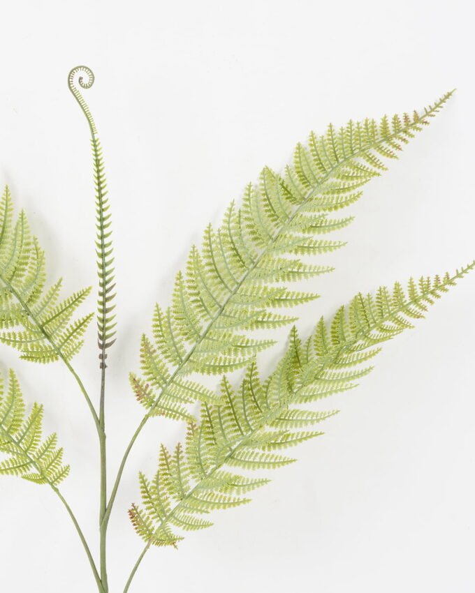 Artificial Plant 50*85cm single Pteris leaves spray*5 GS-39022009 Leaves&Sprays&Foliages YeahFlower is one of Chinese leading OEM manufacturers and exporters , supplying the silk flowers, wholesale artificial trees