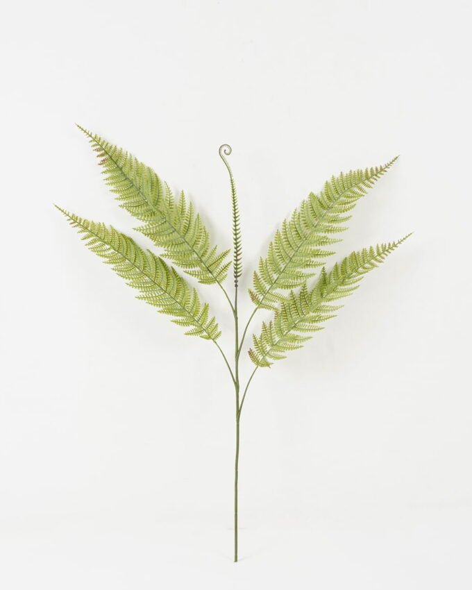 Artificial Plant 50*85cm single Pteris leaves spray*5 GS-39022009 Leaves&Sprays&Foliages YeahFlower is one of Chinese leading OEM manufacturers and exporters , supplying the silk flowers, wholesale artificial trees