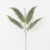 Artificial Plant 50*85cm single Pteris leaves spray*5 GS-39022009 Leaves&Sprays&Foliages YeahFlower is one of Chinese leading OEM manufacturers and exporters , supplying the silk flowers, wholesale artificial trees
