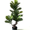 Artificial Tree 100cm FicusTree/lvs37 GS-67322002 Tree&Plant YeahFlower is one of Chinese leading OEM manufacturers and exporters , supplying the silk flowers, wholesale artificial trees