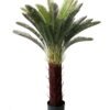 Artificial Tree 105cm sago cycas lvs36 GS-67322034 Artificial Tree 105cm sago cycas/lvs36 GS-67322034 Tree&Plant YeahFlower is one of Chinese leading OEM manufacturers and exporters , supplying the silk flowers, wholesale artificial trees