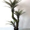 Artificial Tree 125cm Pandanus tectorius So lvs54 GS-67322022 Artificial Tree 125cm Pandanus tectorius So/lvs54 GS-67322022 Tree&Plant YeahFlower is one of Chinese leading OEM manufacturers and exporters , supplying the silk flowers, wholesale artificial trees