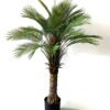 Artificial Tree 125cm palm tree/lvs30 GS-67322028 Tree&Plant YeahFlower is one of Chinese leading OEM manufacturers and exporters , supplying the silk flowers, wholesale artificial trees