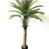 Artificial Tree 150cm palm tree lvs30 GS-67322029 Artificial Tree 150cm palm tree/lvs30 GS-67322029 Tree&Plant YeahFlower is one of Chinese leading OEM manufacturers and exporters , supplying the silk flowers, wholesale artificial trees
