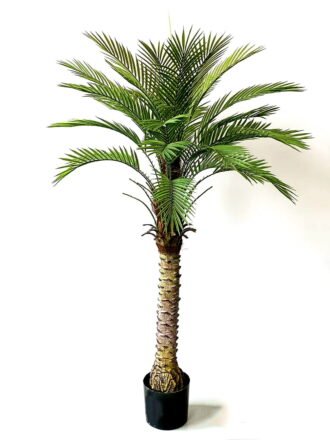 Artificial Tree 200cm palm tree/lvs39 GS-67322030 Tree&Plant 3,000+ sqm showroom with thousands of artificial flowers, plants & trees ready for global sourcing.
