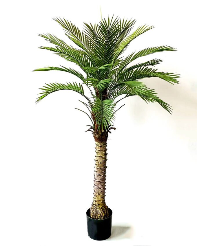 Artificial Tree 150cm palm tree lvs30 GS-67322029 Artificial Tree 150cm palm tree/lvs30 GS-67322029 Tree&Plant YeahFlower is one of Chinese leading OEM manufacturers and exporters , supplying the silk flowers, wholesale artificial trees