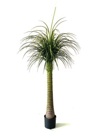 Artificial Tree 205cm Potted Tree/lvs297 GS-67322014 Tree&Plant 3,000+ sqm showroom with thousands of artificial flowers, plants & trees ready for global sourcing.