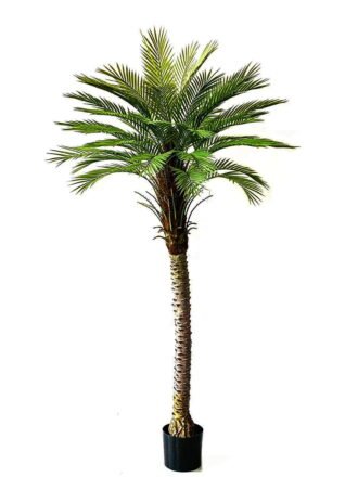 Artificial Tree 170cm Fine leaf palm /lvs47 GS-67322039 Tree&Plant 3,000+ sqm showroom with thousands of artificial flowers, plants & trees ready for global sourcing.