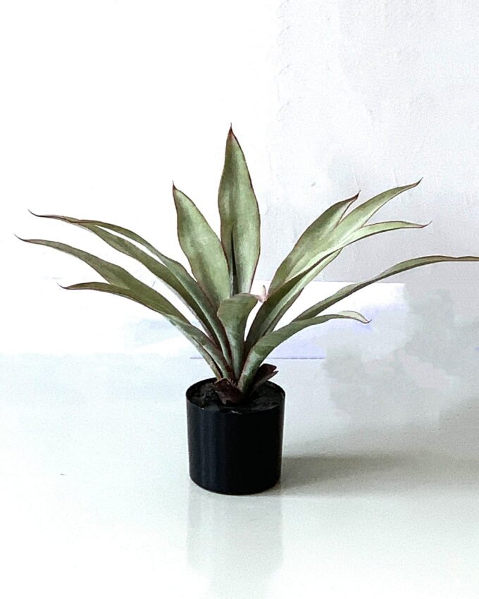 Artificial Tree 40cm Pandanus tectorius So lvs12 GS-67322019 Artificial Tree 40cm Pandanus tectorius So/lvs12 GS-67322019 Tree&Plant YeahFlower is one of Chinese leading OEM manufacturers and exporters , supplying the silk flowers, wholesale artificial trees