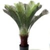 Artificial Tree 85cm sago cycas/lvs18 GS-67322032 Tree&Plant YeahFlower is one of Chinese leading OEM manufacturers and exporters , supplying the silk flowers, wholesale artificial trees