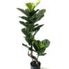 Artificial Tree 95cm FicusTree/lvs25 GS-67322001 Tree&Plant YeahFlower is one of Chinese leading OEM manufacturers and exporters , supplying the silk flowers, wholesale artificial trees