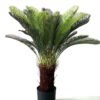 Artificial Tree 95cm sago cycas/lvs30 GS-67322033 Tree&Plant YeahFlower is one of Chinese leading OEM manufacturers and exporters , supplying the silk flowers, wholesale artificial trees