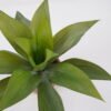Artificial Tree Agave in cement pot GS-19222027_1 Artificial Tree 38*38*36cm Agave in cement pot GS-19222027 Tree&Plant YeahFlower is one of Chinese leading OEM manufacturers and exporters , supplying the silk flowers, wholesale artificial trees