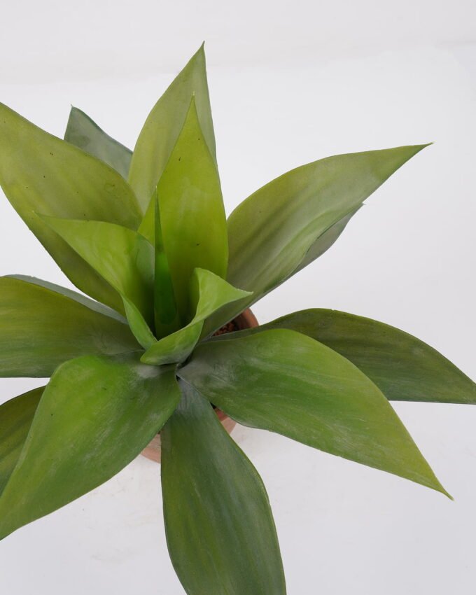 Artificial Tree Agave in cement pot GS-19222027_1 Artificial Tree 38*38*36cm Agave in cement pot GS-19222027 Tree&Plant YeahFlower is one of Chinese leading OEM manufacturers and exporters , supplying the silk flowers, wholesale artificial trees