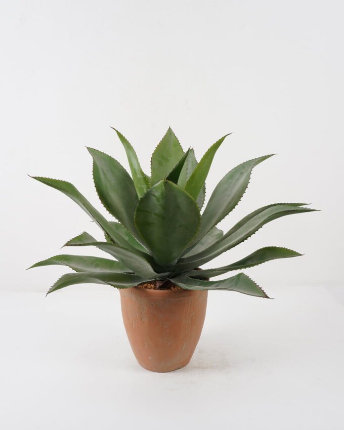 Artificial Tree 60*60*55cm Agave in cement pot GS-19222038 Tree&Plant YeahFlower is one of Chinese leading OEM manufacturers and exporters , supplying the silk flowers, wholesale artificial trees