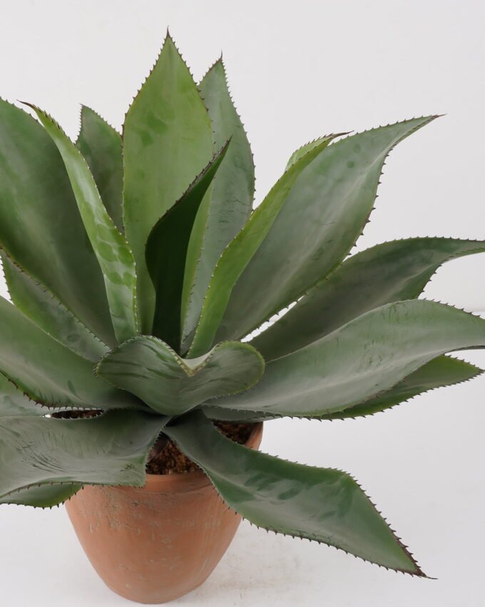 Artificial Tree 60*60*55cm Agave in cement pot GS-19222038 Tree&Plant YeahFlower is one of Chinese leading OEM manufacturers and exporters , supplying the silk flowers, wholesale artificial trees