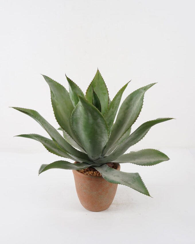 Artificial Tree 55*55*50cm Agave in cement pot GS-19222039 Tree&Plant YeahFlower is one of Chinese leading OEM manufacturers and exporters , supplying the silk flowers, wholesale artificial trees