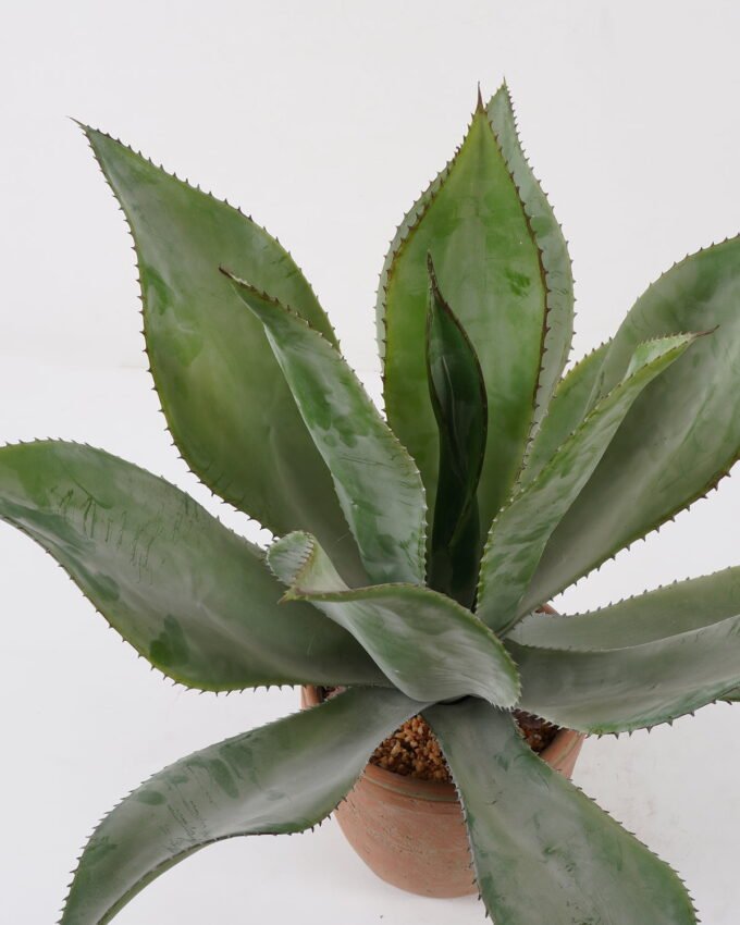 Artificial Tree 55*55*50cm Agave in cement pot GS-19222039 Tree&Plant YeahFlower is one of Chinese leading OEM manufacturers and exporters , supplying the silk flowers, wholesale artificial trees