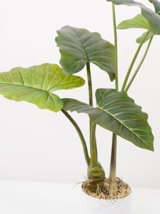 Artificial Tree 80*80*95CM Alocasia Sarian in pp pot GS-48522045 Tree&Plant 3,000+ sqm showroom with thousands of artificial flowers, plants & trees ready for global sourcing.