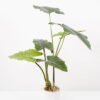 Artificial Tree 55*55*70CM Alocasia Sarian in pp pot GS-48522044 Tree&Plant YeahFlower is one of Chinese leading OEM manufacturers and exporters , supplying the silk flowers, wholesale artificial trees