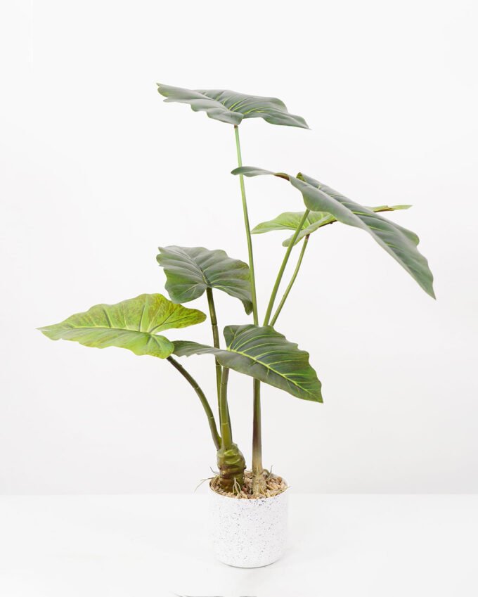 Artificial Tree 55*55*70CM Alocasia Sarian in pp pot GS-48522044 Tree&Plant YeahFlower is one of Chinese leading OEM manufacturers and exporters , supplying the silk flowers, wholesale artificial trees