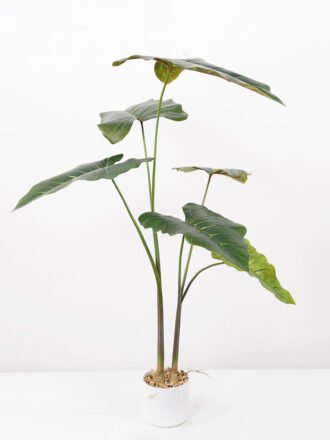 Artificial Tree 55*55*70CM Alocasia Sarian in pp pot GS-48522044 Tree&Plant 3,000+ sqm showroom with thousands of artificial flowers, plants & trees ready for global sourcing.