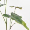 Artificial Tree 80*80*95CM Alocasia Sarian in pp pot GS-48522045 Tree&Plant YeahFlower is one of Chinese leading OEM manufacturers and exporters , supplying the silk flowers, wholesale artificial trees