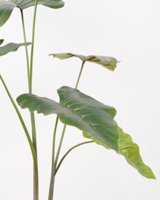 Artificial Tree 80*80*95CM Alocasia Sarian in pp pot GS-48522045 Tree&Plant YeahFlower is one of Chinese leading OEM manufacturers and exporters , supplying the silk flowers, wholesale artificial trees Artificial Tree 80*80*95CM Alocasia Sarian in pp pot GS-48522045 Tree&Plant YeahFlower is one of Chinese leading OEM manufacturers and exporters , supplying the silk flowers, wholesale artificial trees