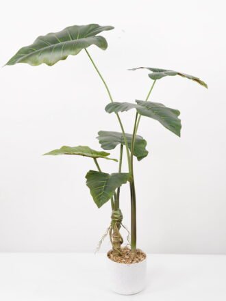 Artificial Tree 80*80*95CM Alocasia Sarian in pp pot GS-48522045 Tree&Plant 3,000+ sqm showroom with thousands of artificial flowers, plants & trees ready for global sourcing.