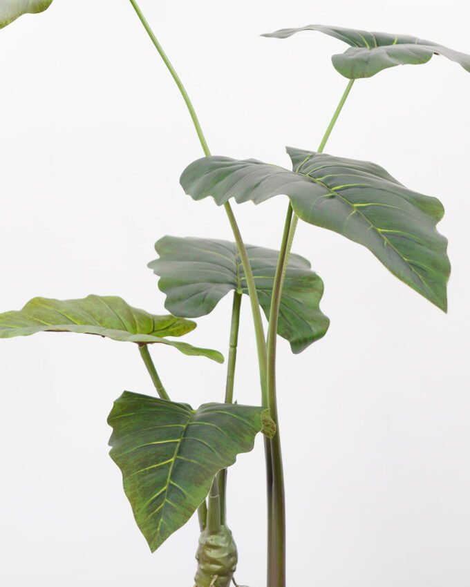 Artificial Tree Alocasia Sarian in pp pot GS-48522046_3 Artificial Tree 80*80*95CM Alocasia Sarian in pp pot GS-48522046 Tree&Plant YeahFlower is one of Chinese leading OEM manufacturers and exporters , supplying the silk flowers, wholesale artificial trees