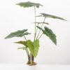 Artificial Tree 80*80*95CM Alocasia Sarian in pp pot GS-48522047 Tree&Plant YeahFlower is one of Chinese leading OEM manufacturers and exporters , supplying the silk flowers, wholesale artificial trees