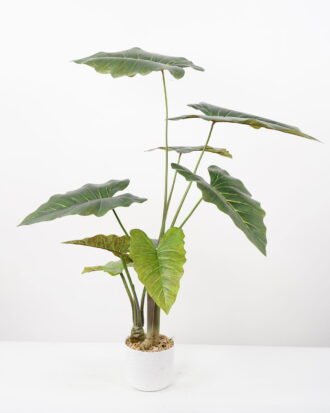 Artificial Tree 80*80*95CM Alocasia Sarian in pp pot GS-48522047 Tree&Plant YeahFlower is one of Chinese leading OEM manufacturers and exporters , supplying the silk flowers, wholesale artificial trees Artificial Tree 80*80*95CM Alocasia Sarian in pp pot GS-48522047 Tree&Plant YeahFlower is one of Chinese leading OEM manufacturers and exporters , supplying the silk flowers, wholesale artificial trees