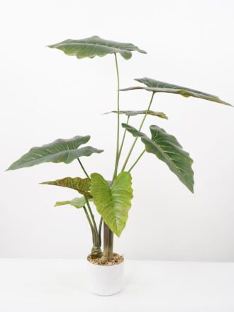 Artificial Tree 80*80*95CM Alocasia Sarian in pp pot GS-48522046 Tree&Plant 3,000+ sqm showroom with thousands of artificial flowers, plants & trees ready for global sourcing.