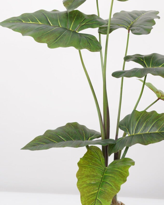 Artificial Tree 80*80*95CM Alocasia Sarian in pp pot GS-48522047 Tree&Plant YeahFlower is one of Chinese leading OEM manufacturers and exporters , supplying the silk flowers, wholesale artificial trees