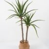 Artificial Tree Aloe 2 in cement pot GS-19222032_5 Artificial Tree 70*70*115cm Aloe *2 in cement pot GS-19222032 Tree&Plant YeahFlower is one of Chinese leading OEM manufacturers and exporters , supplying the silk flowers, wholesale artificial trees