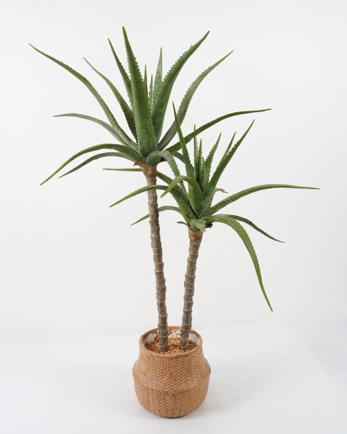 Artificial Tree Aloe 2 in cement pot GS-19222032_5 Artificial Tree 70*70*115cm Aloe *2 in cement pot GS-19222032 Tree&Plant YeahFlower is one of Chinese leading OEM manufacturers and exporters , supplying the silk flowers, wholesale artificial trees
