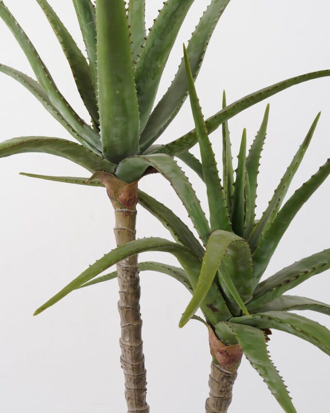 Artificial Tree Aloe 2 in cement pot GS-19222032_9 Artificial Tree 70*70*115cm Aloe *2 in cement pot GS-19222032 Tree&Plant YeahFlower is one of Chinese leading OEM manufacturers and exporters , supplying the silk flowers, wholesale artificial trees