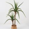 Artificial Tree 60*60*85cm Aloe *2 in cement pot GS-19222033 Tree&Plant YeahFlower is one of Chinese leading OEM manufacturers and exporters , supplying the silk flowers, wholesale artificial trees