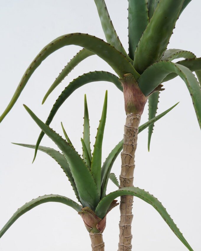 Artificial Tree 60*60*85cm Aloe *2 in cement pot GS-19222033 Tree&Plant YeahFlower is one of Chinese leading OEM manufacturers and exporters , supplying the silk flowers, wholesale artificial trees