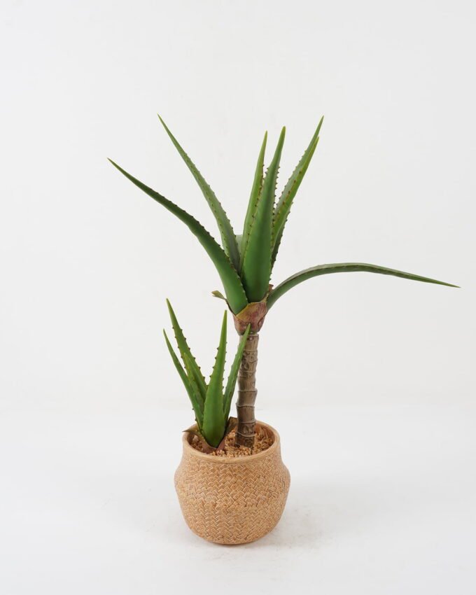 Artificial Tree Aloe 2 in cement pot GS-19222034_5 Artificial Tree 40*40*65cm Aloe *2 in cement pot GS-19222034 Tree&Plant YeahFlower is one of Chinese leading OEM manufacturers and exporters , supplying the silk flowers, wholesale artificial trees