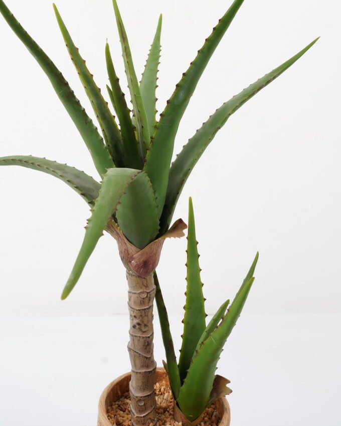 Artificial Tree Aloe 2 in cement pot GS-19222034_8 Artificial Tree 40*40*65cm Aloe *2 in cement pot GS-19222034 Tree&Plant YeahFlower is one of Chinese leading OEM manufacturers and exporters , supplying the silk flowers, wholesale artificial trees