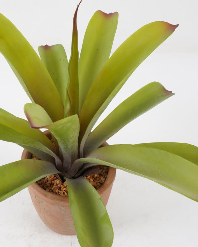 Artificial Tree 36*36*38cm Ananas Mill  in cement pot GS-19222031 Tree&Plant YeahFlower is one of Chinese leading OEM manufacturers and exporters , supplying the silk flowers, wholesale artificial trees