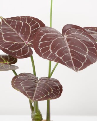 Artificial Tree 50*50*70CM Anthurium crystallinum tree in pp pot GS-48522036 Tree&Plant YeahFlower is one of Chinese leading OEM manufacturers and exporters , supplying the silk flowers, wholesale artificial trees