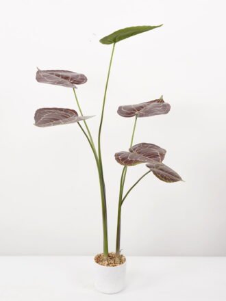 Artificial Tree 50*50*70CM Anthurium crystallinum tree in pp pot GS-48522036 Tree&Plant 3,000+ sqm showroom with thousands of artificial flowers, plants & trees ready for global sourcing.